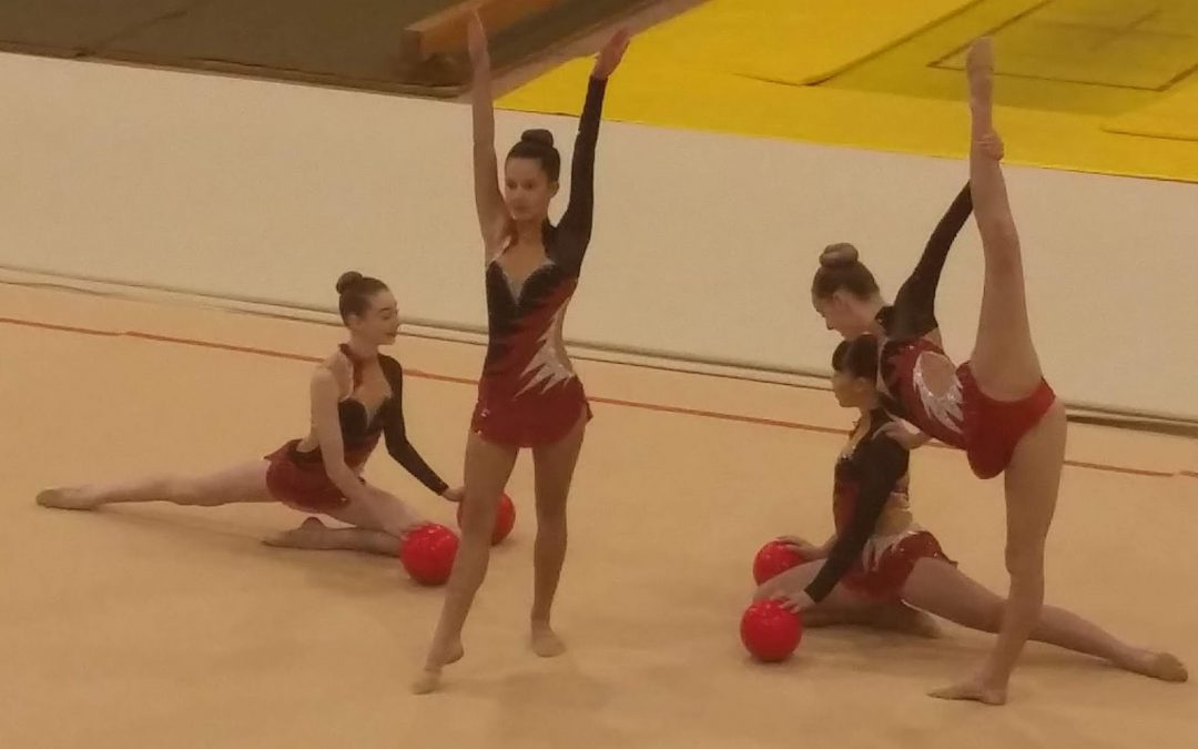 Wentworth Gymnasts win Gold and Silver medals at the Auckland Gymsports Championships