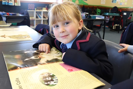 ERO recognises Wentworth Primary’s strengths in 2019 Report